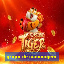 grupo de sacanagem